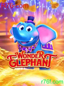 Explorando o Fascinante Mundo de WonderElephant